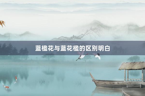 蓝楹花与蓝花楹的区别明白