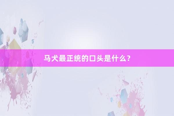 马犬最正统的口头是什么?