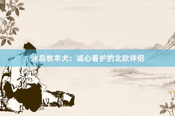 冰岛牧羊犬：诚心看护的北欧伴侣