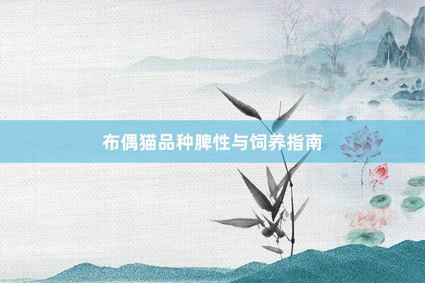 布偶猫品种脾性与饲养指南