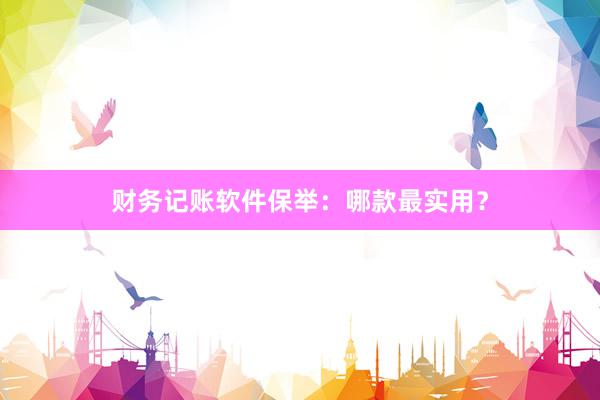 财务记账软件保举：哪款最实用？